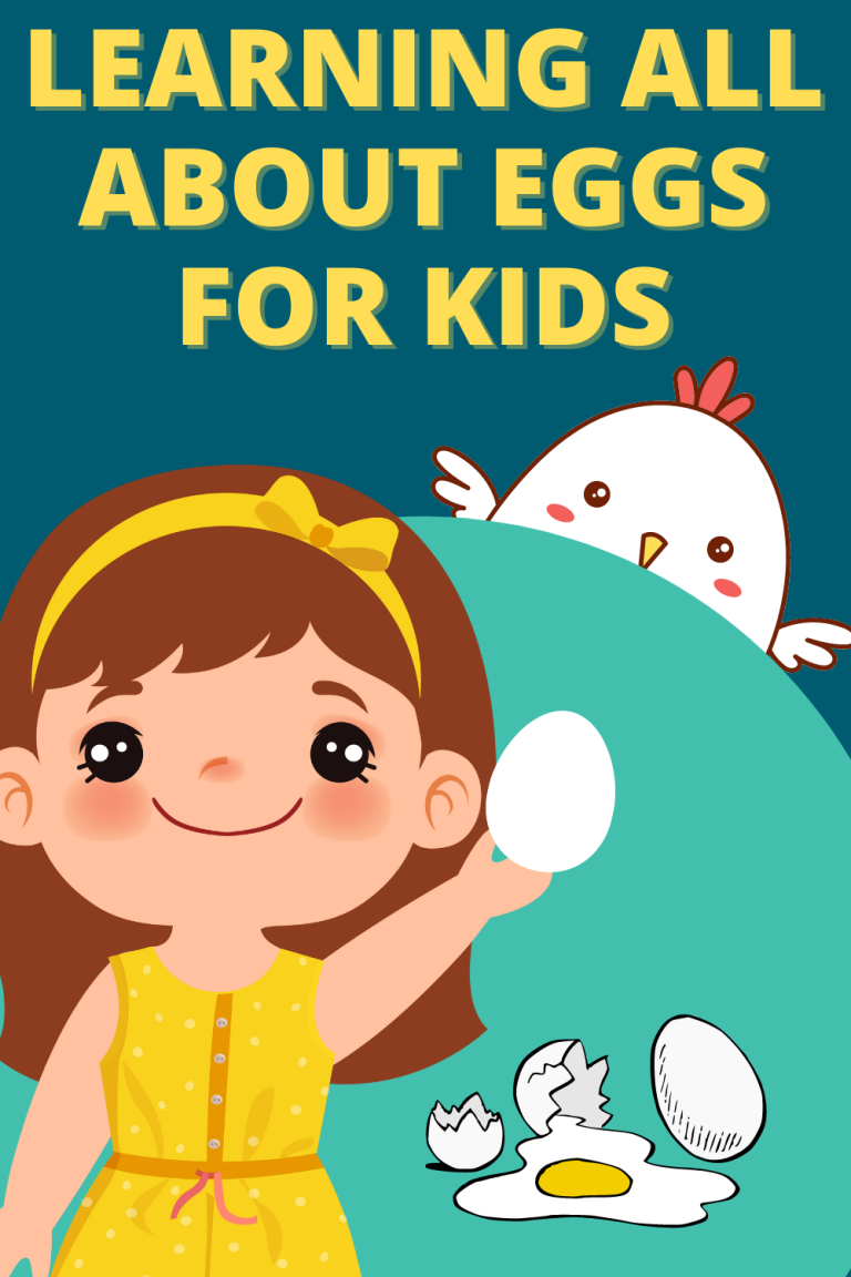 Can't Break Egg In Hand True or False? [Learning About Eggs For Kids]