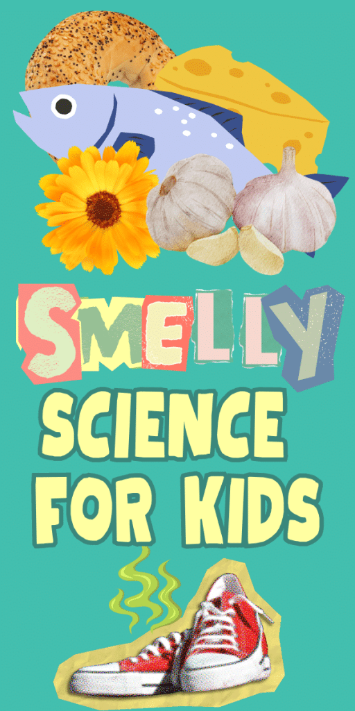 Smelly Science For Kids